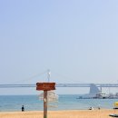 📕부산 광안리 책방온실 카페 후기☕