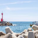 향림원 펜션 이미지