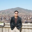 (주)매화마을