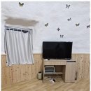 백운장뇌삼관광농원 | 원주펜션 자연 속 완벽한 쉼표, 원주 포레스트 돔 후기