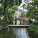 황지자유시장 코스 이미지