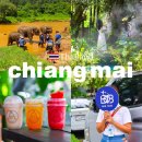 우리마트 오치점 | 태국 치앙마이 여행 비용 3박5일 코스 세미 패키지 후기