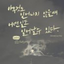 숙이언니 이미지