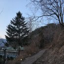 강화도아침숲속캠핑장 | 강화도 자연과 숲 : 33개월 아이와 함께하는 캠핑, 브루클린웍스 로이텐트2.0