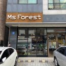 미즈포레스트