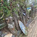 서봉산 산림욕장 2 | 향남 등산 &#34;서봉산 산림욕장&#34; 경기도 화성 쉬운 등산 / 해발 248m 초보 등산 / 왕복 1시간 등산 코스