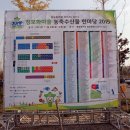 햇빛촌바랑산마을 | 정보화마을 페스타 2015 생생 후기 2편 (지역 특산품)