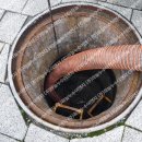 남악로 162번길 이미지