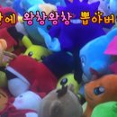 인형뽑기 대왕 이미지