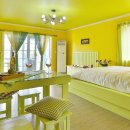 노비오스 이미지