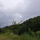 오색무지개 이미지