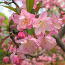 행복한하루 이미지