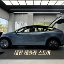 북유성대로 | 대전 테슬라 스토어 방문 후기 | 모델 YL 실물 리뷰