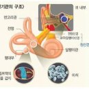 이석증 증상 원인 ＜어지러움증＞ 세상이 빙글빙글 돌아요 이미지