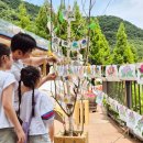 발자국화석관리사무소 | [경상남도 진주시] 월아산 수국 수국 페스티벌