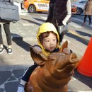 마장축산 Daum카페