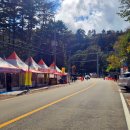 명개리(간이) 이미지