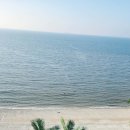 트래블지 이미지