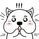 허니피그