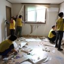 대진자원 이미지