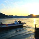 토황민박 이미지