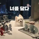 너를담다수변점 | 광안리 수변공원 근처 애견카페🐶 ‘너를담다’ 주차/위치