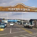 성산읍 고성오일장 이미지