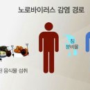 여름아겨울아식품 이미지