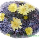 함초롬농원 이미지