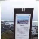 좀녀마을 이미지