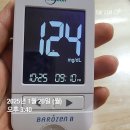 당뇨빵 바른식방 저당 통밀빵 깜빠뉴 체험 후기