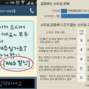 인터넷 대량 발송하는 문자메시지에는 'Web 발신'이라는 문구 표시된다 이미지