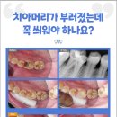삼성플란트치과의원 이미지