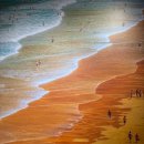 생활양재 이미지