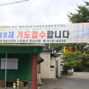 한국초재 이미지