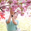 완산-26 이미지