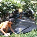 정돈농장 이미지