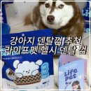 송송펫 | 강아지덴탈껌 추천ㅣ치석제거 효과 좋은 라이프펫 헬시 덴탈 껌 후기