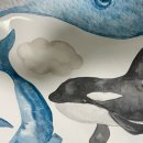 대왕고래 화장실 이미지