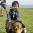 꼭지목장 이미지