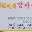 감골뚝배기감자탕 네이버블로그