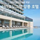 빅딜 | 신라모노그램 강릉 수영장 조식 후기, 오늘 11시 빅딜 특가 오픈