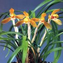 (주)금화 이미지