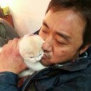 고양이를 사랑하는 남자 이미지