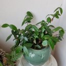 K부동산공인중개사사무소 이미지