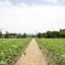 함양건강100세음식지구 이미지