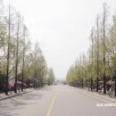 축구장 옆 화단 이미지