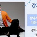 펫을 부탁해 이미지