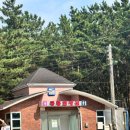 원산도 해수욕장 푸드존 이미지