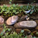 바르미샤브샤브&칼국수 이미지
